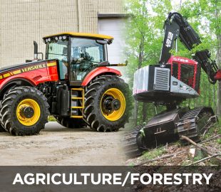 Agriculture_FOREST_MARKET_2